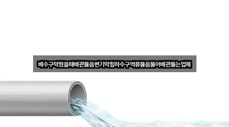 경기도 신풍동 배관 뚫음 · 주변 5곳