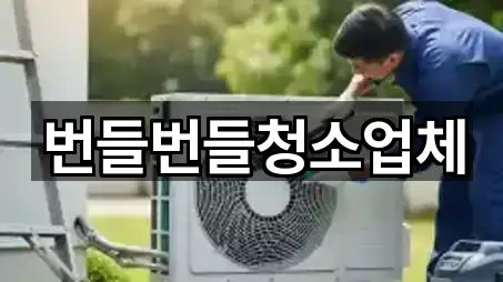 경기도 사노동 청소 문의/예약 5곳