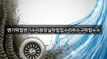 변기막힘변기수리화장실막힘집수리하수구막힘누수