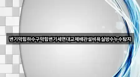 변기막힘하수구막힘변기세면대교체배관설비욕실방수누수탐지