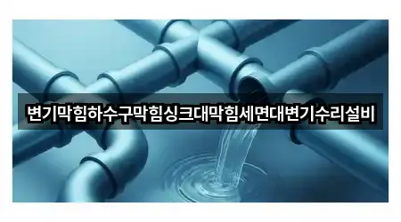 변기막힘하수구막힘싱크대막힘세면대변기수리설비