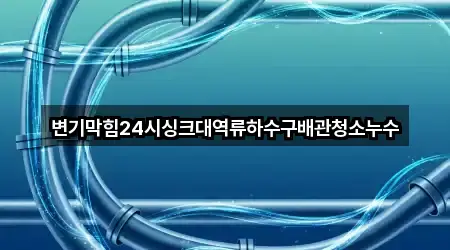 변기막힘24시싱크대역류하수구배관청소누수