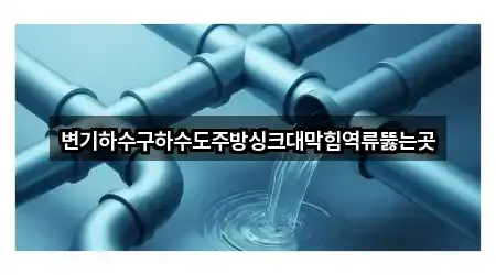 변기하수구하수도주방싱크대막힘역류뚫는곳