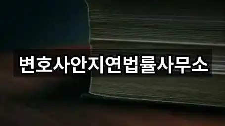변호사안지연법률사무소