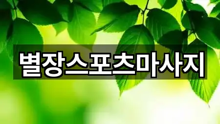 별장스포츠마사지