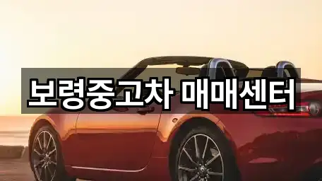 보령중고차 매매센터