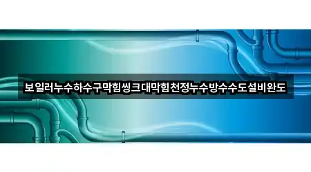 보일러누수하수구막힘씽크대막힘천정누수방수수도설비완도