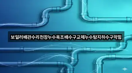 보일러배관수리천장누수욕조배수구교체누수탐지하수구막힘