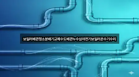 보일러배관청소분배기교체수도배관누수심야전기보일러온수기수리