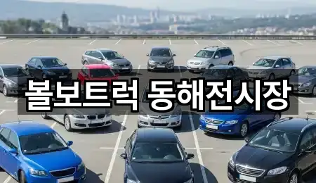 강원특별자치도 미로면 자동차전시장 최신 업데이트 1곳