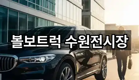 경기도 산척동 자동차전시장 빠른 조회 1곳