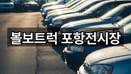 즉시 안내: 포항시 남구 호동 자동차전시장 1곳