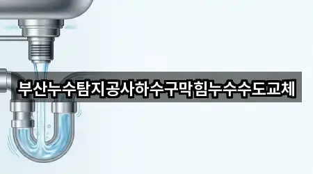 부산누수탐지공사하수구막힘누수수도교체
