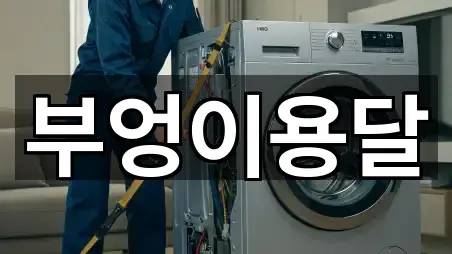 부엉이용달