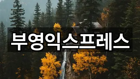 연락처 링크 모음: 속초시 청호동 이사 5곳