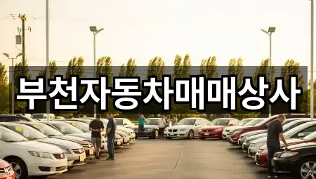 브리핑 | 경서동 중고차 5곳