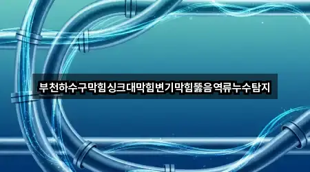 부천하수구막힘싱크대막힘변기막힘뚫음역류누수탐지