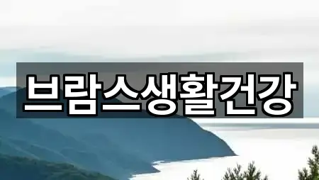 브람스생활건강