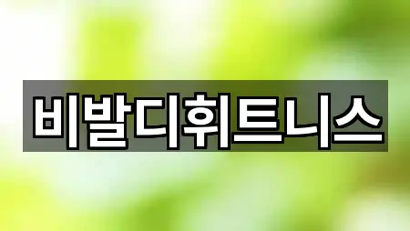 비발디휘트니스