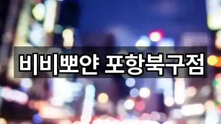 비비뽀얀 포항북구점