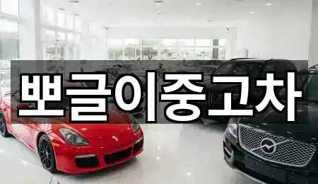 뽀글이중고차