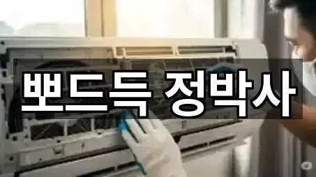 뽀드득 정박사
