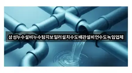 삼성누수설비누수탐지보일러설치수도배관설비언수도녹임업체