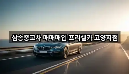 삼송중고차 매매매입 프리셀카 고양지점