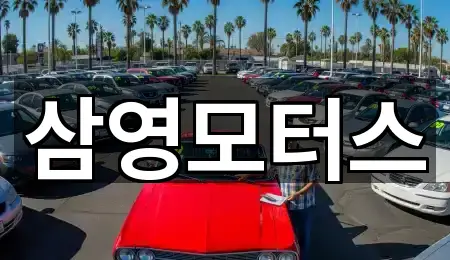 바로가기 | 용정동 중고차 5곳