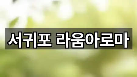 가까운 제주특별자치도 서귀포시 강정동 마사지 5 업체 정보