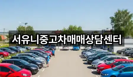 지금 주변의 충청북도 충주시 중앙탑면 중고차 5곳