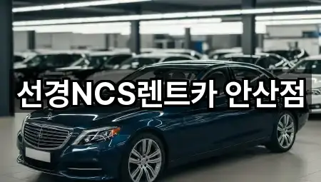 브리핑 | 안산시 고잔동 렌트카 5곳