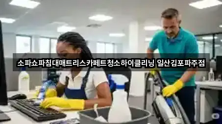 소파쇼파침대매트리스카페트청소하이클리닝 일산김포파주점
