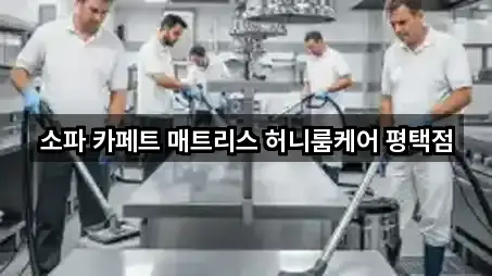 빠른 연락: 경기도 평택 용이동 청소업체 5곳