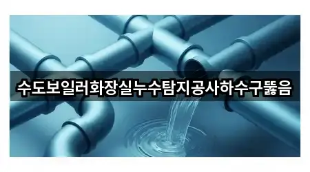 대구광역시 파동 하수구뚫음 지금 보기 5곳