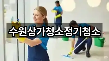 바로 한눈에: 경기도 용인 수지구 풍덕천동 상가청소 5곳