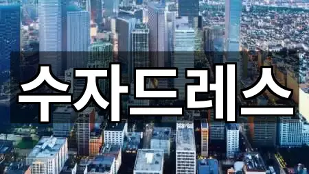 전북특별자치도 군산시 신창동 웨딩드레스 길찾기 지원 1곳