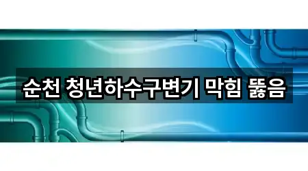순천 청년하수구변기 막힘 뚫음