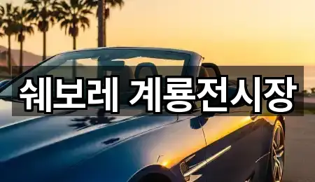 주소 브리핑: 충청남도 신도안면 자동차전시장 1곳
