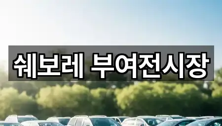 부여군 자동차전시장 주소·지도 1곳