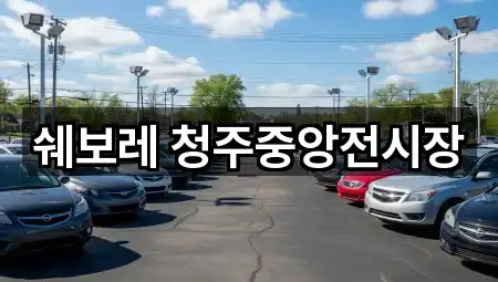 청주 신봉동 자동차전시장 1곳 지도 전체 보기