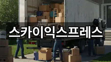 스카이익스프레스