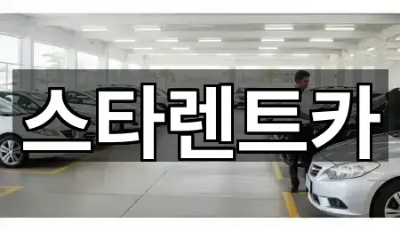 청주시 청원구 내덕동 렌트카 5곳 퀵 리스트