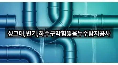 싱크대,변기,하수구막힘뚫음누수탐지공사