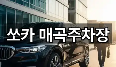 쏘카 매곡주차장