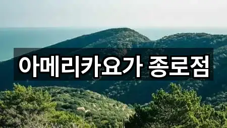 아메리카요가 종로점