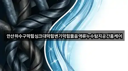 안산하수구막힘싱크대막힘변기막힘뚫음역류누수탐지공간홈케어