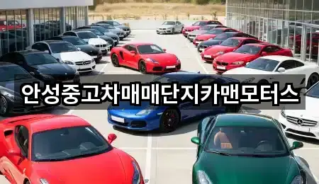 안성중고차매매단지카맨모터스