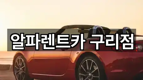 지도에서 GO: 수택동 렌트카 5곳