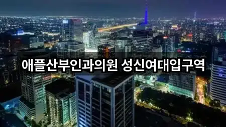 서울 성북구 동선동3가 산부인과 5곳 지도